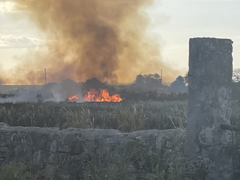Update: VIFEMS Continues to Monitor Fire in Frederiksted Cane Field