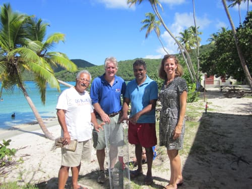 Native Plantings Flourish at Maho Bay Beach Thanks to Eco Serendib Support