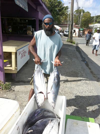 Fresh from the Sea