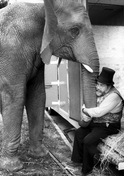 St. John Film Society To Present “One Lucky Elephant” on May 6