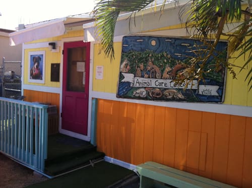 Freshwater Church Members and Visitors Paint Shelter