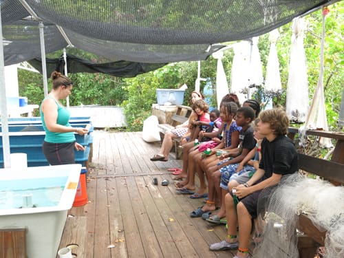 VIERS Welcome New Group of Eco-campers to Lameshur Bay