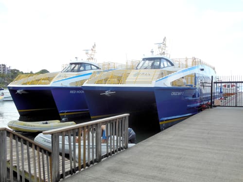 VITRAN Ferries Out of Service — Was Festival Service Trial Run?