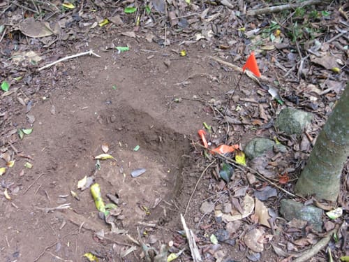 Archaeologists Wrap Up First Dig of Estate Bellevue Property