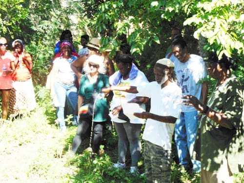 Virgin Islanders, Visitors Remember Significance of 1733 St. John Revolution in Climb to Fortsberg