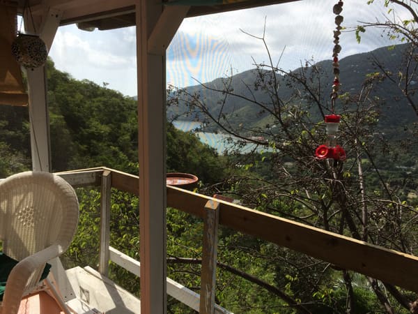 On The Market: Water Views, Lush Landscaping and a Great Price Tag  Await at 6-3-22H Estate Carolina
