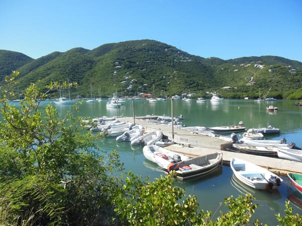 All Coral Harbor Docks Must Go!!!
