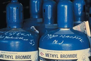 Commissioner-designee Henry Defends DPNR’s Pesticide Supervision Before Poisoning