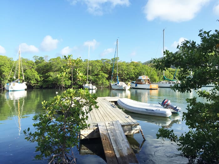 With New Vessels, DPNR Plans Increased Enforcement Efforts in Coral Bay Harbor