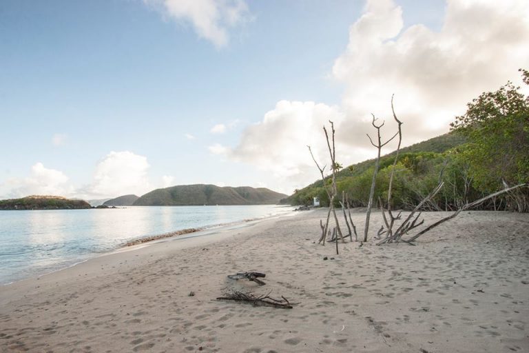 Cinnamon Bay Campground Closed for the Season