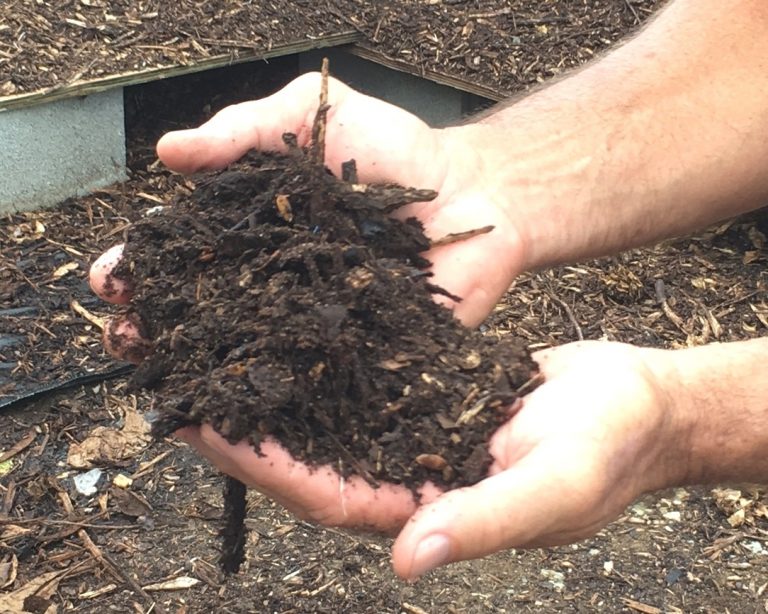Compost is Key to the Success of the Gifft Hill School Garden