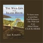 GK Island House Book Ad