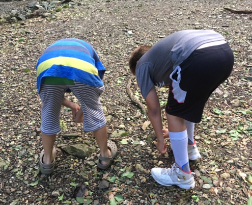 Connecting With Nature: Looking Under Rocks and Leaves