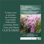 GK UUF Tree Book Ad