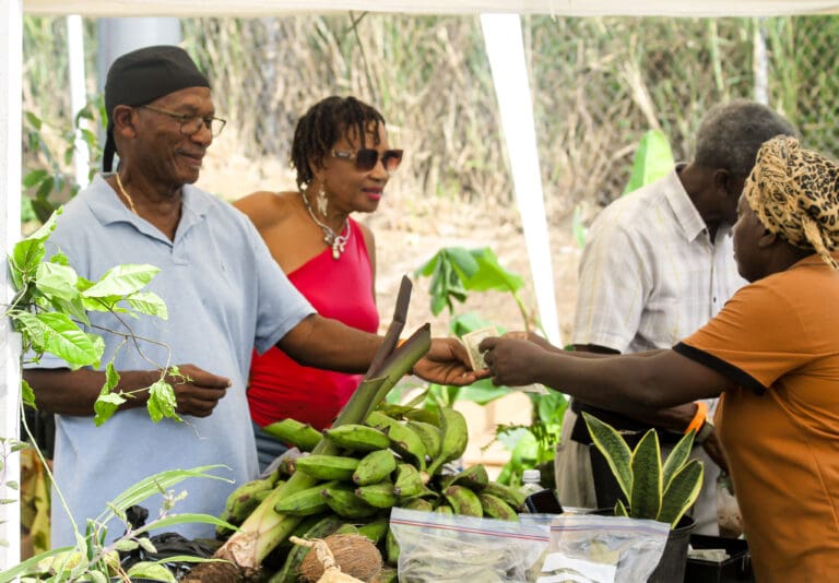 Photo Focus: The Revival of Agriculture: 26th Annual Bordeaux Vegan Food Fair