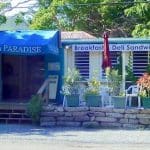 Pickles in Paradise pic