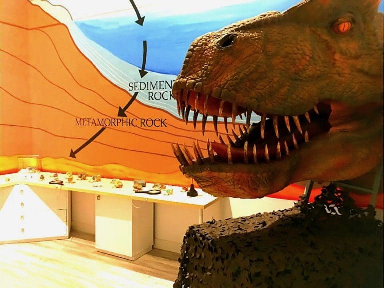 Children’s Museum Slates Grand Reopening