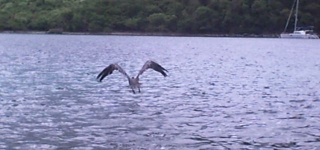 Get Away from the Crowds on STJ
