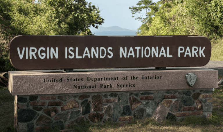 VINP Recruiting University of the Virgin Islands Students for Positions on St John