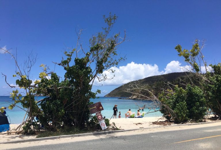 Beachgoers Urged to Take Precautions Following Thefts at STJ Beaches
