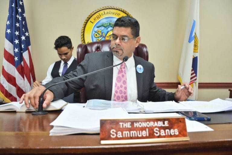 Senate Turnover: Sanes Plans to Continue Public Service