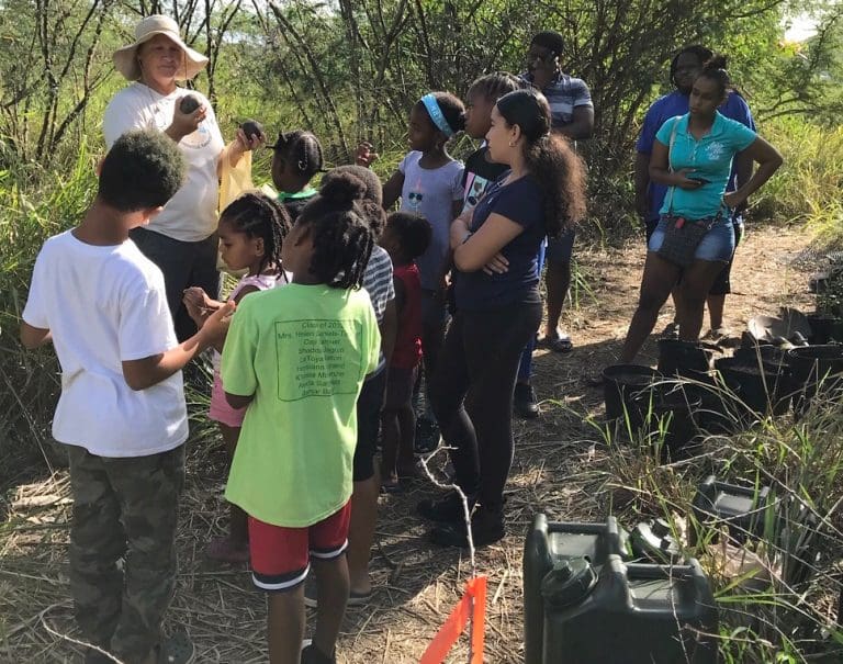 Youth Volunteers Help SEA Plant Native Trees
