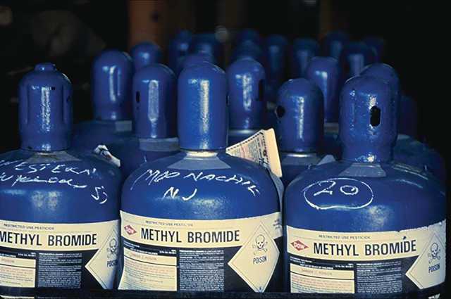 Exterminator Gets 12 Months for Misusing Pesticides