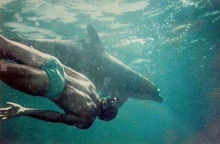 UVI Diver Plays with Wild Dolphins