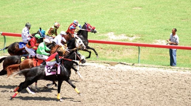 Racing Commission Needs Time and Money, Chairman Says