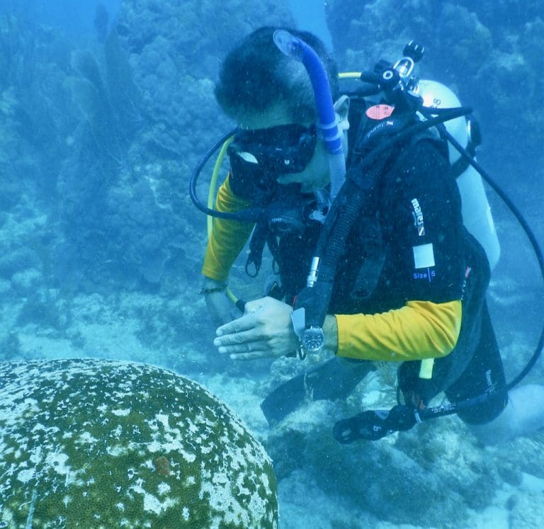 Territory Prepares to Face Coral Disease Head On