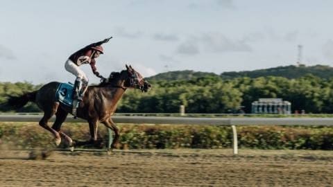 VIPA Must Sell St. Thomas Racetrack Land to Move Development Forward