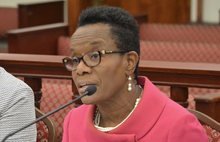 Lawmakers Hear From Insurance Regulators, Industry Execs at St. John Hearing