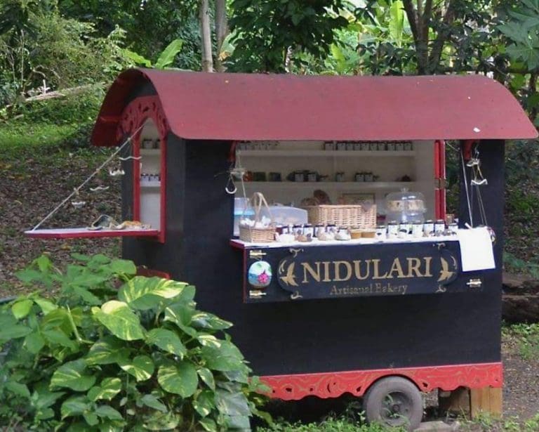 Nidulari – An Oasis in the Rainforest