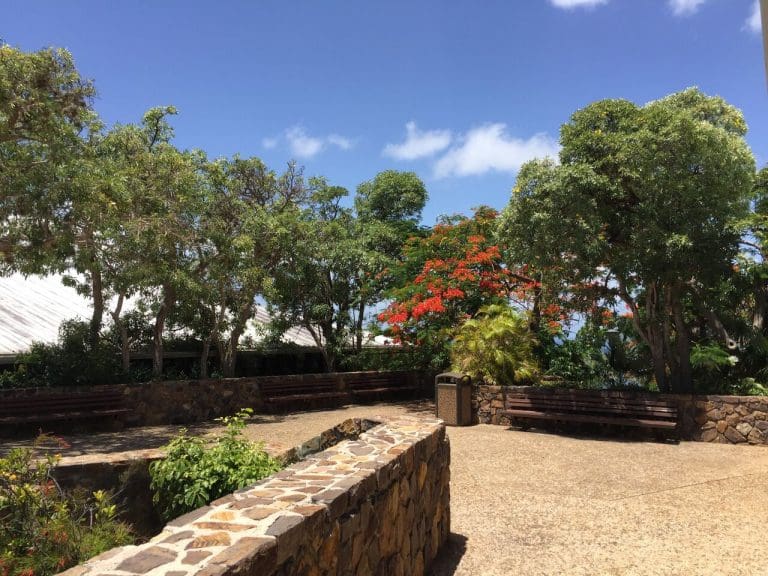 UVI Unveils New Strategic Plan to Ensure School’s Future