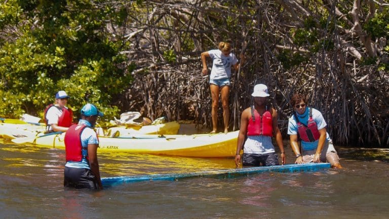 Plastic Trash Tops Haul from 2nd ‘Great Mangrove Cleanup’