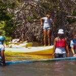 mangrove-clean-big-block-o-plastic.jpg