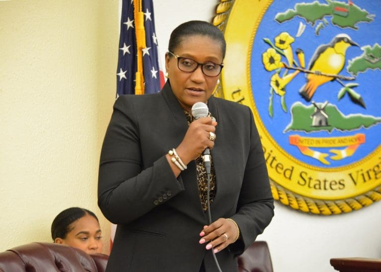 Majority Boots Frett-Gregory as Chair but Adopts All Her Legislation