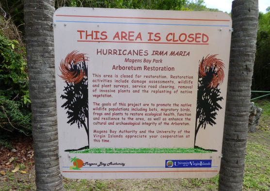 Report Lays Out Plan for Arboretum Restoration