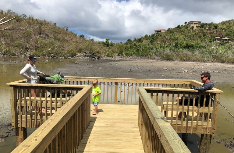 Francis Bay Boardwalk, Observation Deck Now Finished