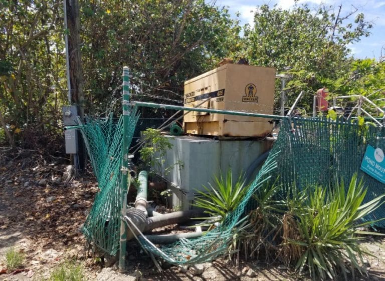 Overflowing Sewage Plagues Pond Mouth Area of Cruz Bay