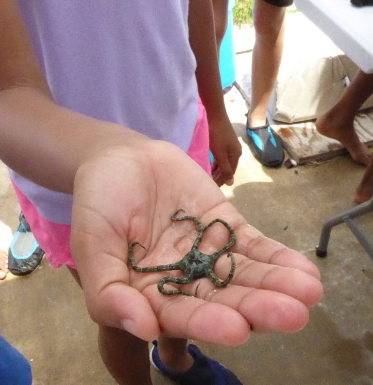 First Junior Ocean Explorers Graduate