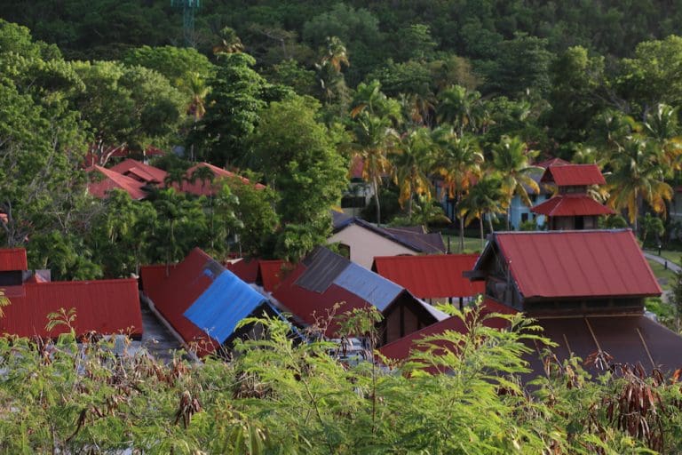 GERS Makes Profit on Carambola Sale
