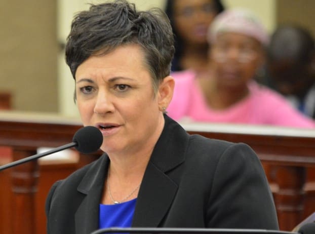 Human Services Nominee Describes Numerous Challenges at Department