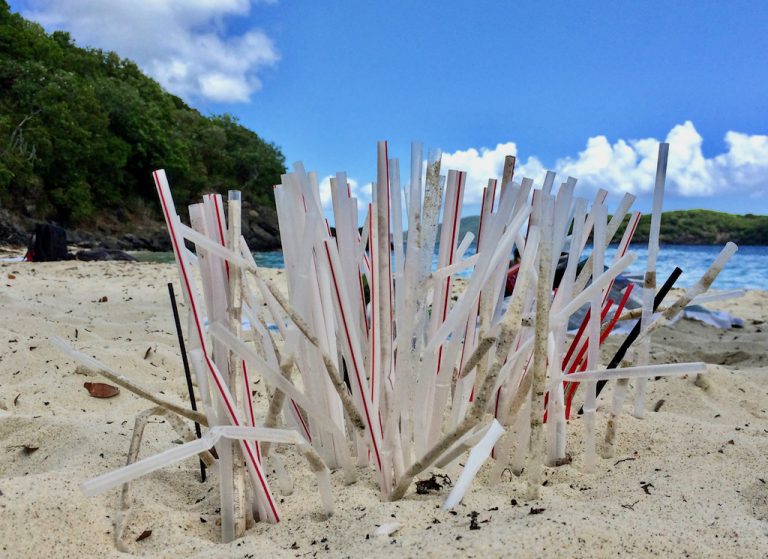 Ban on Plastic Straws to Begin October 1