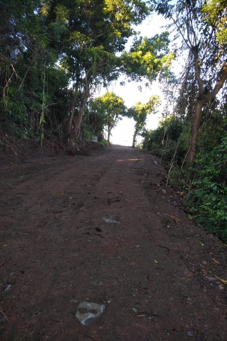 Neighbors Appeal Court Decision in Cuffy Land Access Dispute