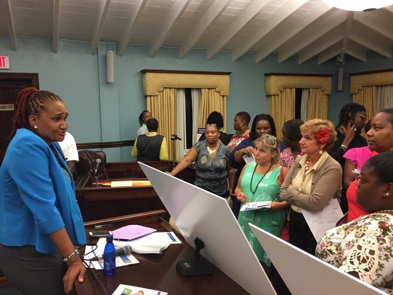 ‘New Schools’ Open House Draws Crowd on St. John