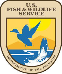 DPNR Announces Seasonal Closure of Fishing of Certain Species