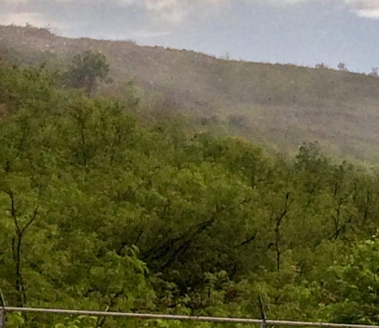WMA Resumes Operations at Anguilla Landfill