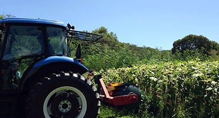 NRCS Delivers Conservation Assistance, Healthier Natural Resources to Caribbean Area Farmers in 2021