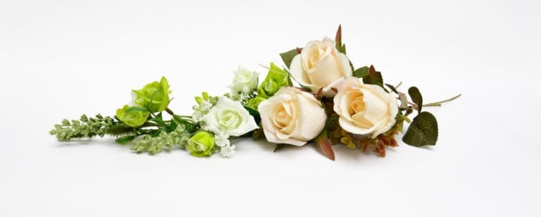 Helena E. Perkins van Beverhoudt Dies